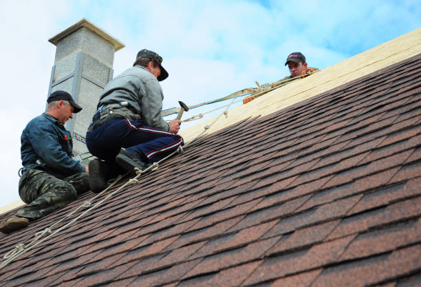 Best Storm Damage Roof Repair  in Peekskill, NY